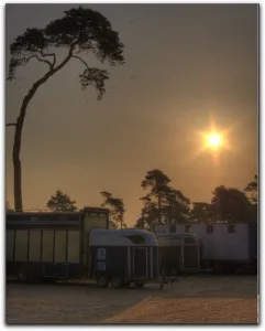 Grand Parquet (Fontainebleau) à 7h du matin