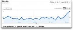 not-provided not provided (Google Analytics)