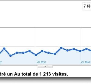 not provided (Google Analytics)