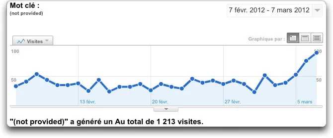 not provided (Google Analytics)