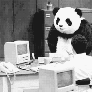 Google-Panda-4.0-Update