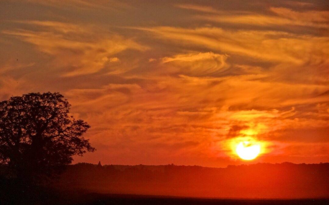 Coucher de soleil à Barbizon