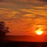 Coucher de soleil à Barbizon (77), la plaine de l'Angelus