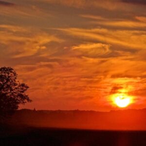 Coucher de soleil à Barbizon (77), la plaine de l'Angelus