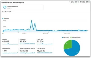 Rapport Audience de Google Analytics