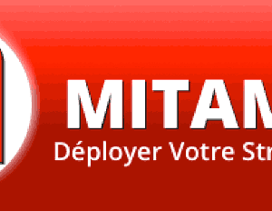 Mitambo - Perception SEO
