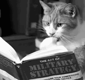 La stratégie SEO expliquée par le chat savant
