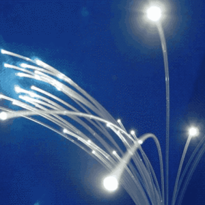 Bouquet de Fibre Optique