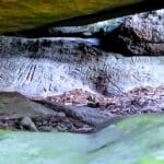 Gravure Rupestre dans un Abri Orné