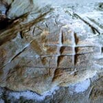 Gravure Rupestre dans un Abri Orné