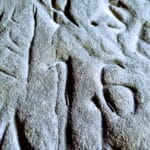 Gravure Rupestre dans un Abri Orné