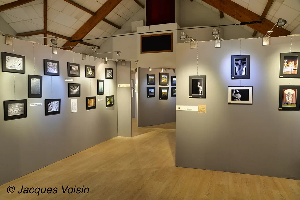 Photos des stands de l'expo photo de Samois