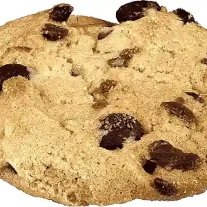 Cookies informatique presents sur les site internet