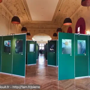 Expo Phemina 2023 au Théatre de Fontainebleau