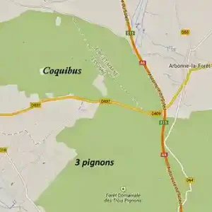Coquibus en Foret de Fontainebleau
