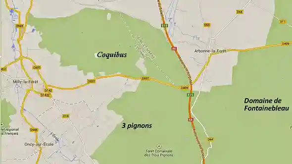 Coquibus en Foret de Fontainebleau